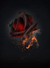 Fotobehang The red rose burns with love © Old Landscape