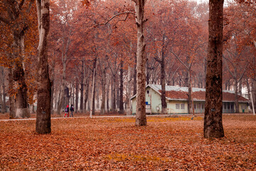 Two students walking on a pathway inside Kashmir University Camp