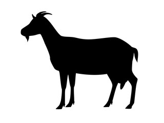 Vector illustration of female goat. Silhouette os farm animal, domestic small cattle, isolated on white.