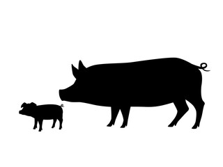 Vector illustration of pig and piglet. Silhouettes of farm animals - domestic swines adult and young.