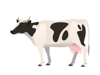Vector illustration of a cow, black and white color. Farm animal, domestic cattle,isolated on white.
