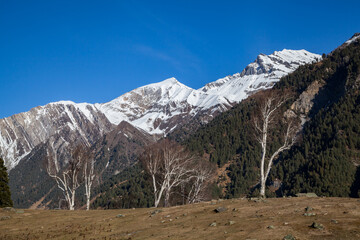 Nature unearths fresh terrains after snow diminishes on Himalaya