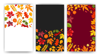 Fall backgrounds set. Layouts with bright autumn leaves, frame, place for text. Festive design for Thanksgiving or autumn sale, banner, greeting cards, etc. Vector illustration. 