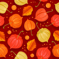 Seamless pattern in red and orange tones with autumn leaves and physalis franchetii. Fall background. Vector illustration.