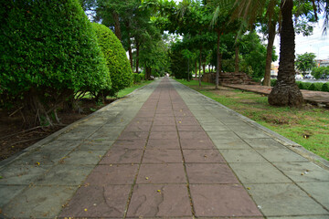 Side walk in the garden for peoples exercise.