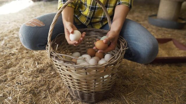 Proud chicken farmer showing the eggs her hens produced