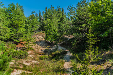 Pinery Provincial Public Park: breathtakingly beautiful park with 10 km of sand beach on the shores of mighty Lake Huron, Coastal Dune Ecosystems. Ontario, Canada.
