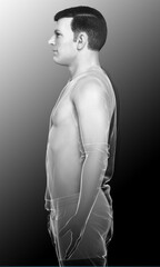 Fototapeta premium 3d rendered illustration of the male body