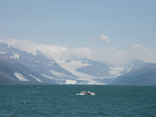 Harvard Glacier and ice floating in the sea.  Prince William Sound, Alaska, USA. ship. Prince William Sound, Alaska, USA.