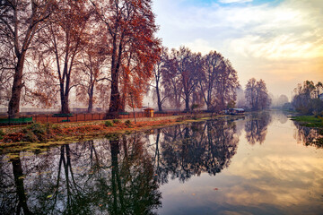 Fototapeta premium Reflection of Maple trees on Jhelum River