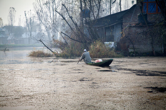 Man riding a shikara boat on the Dal lake in Srinagar, Kashmir, India.