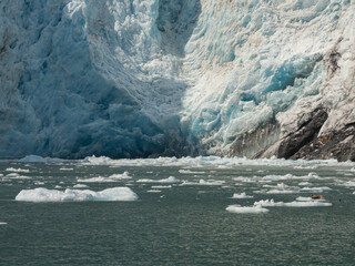 Surprise Glacier and ices floating in the sea . Prince William Sound, Alaska, USA.