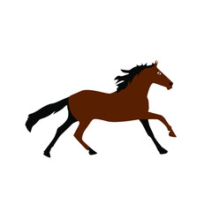 Fototapeta na wymiar Vector silhouette of the horse. Thoroughbred horse icon.