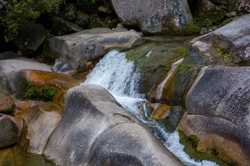 Naklejka na ściany i meble Small river in the Abel Tasman National Park, New Zealand