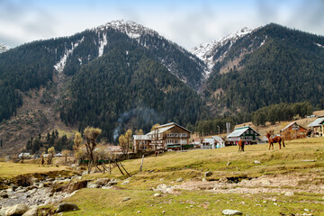 Fototapeta na wymiar Some of Tourists Hotel at Aru Valley Near Pahalgam, Kashmir, India