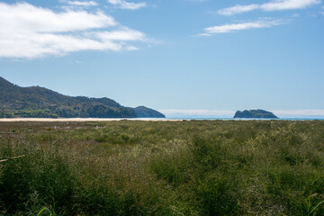 Fototapeta na wymiar View of the coast of the Abel Tasman National Park, New Zealand on a sunny summer day