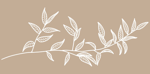 Leaf and flower background vector. Tropical pattern design for packaging, wallpaper and print, Vector illustration.