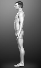 Naklejka premium 3d rendered illustration of the male body