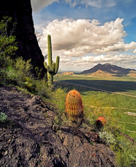 View from Picacho Peak