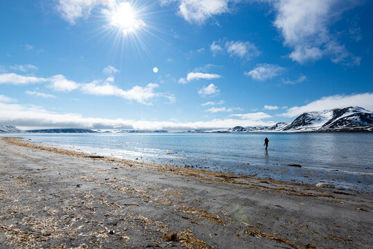 Arctic Summer Landscape, Svalbard, Northern Norway