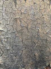 Photographs of various textures for backgrounds