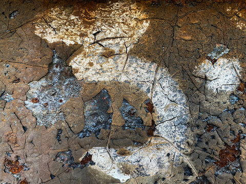 Photographs of various textures for backgrounds