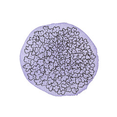 Watercolor Colorful Floral Circles Illustration