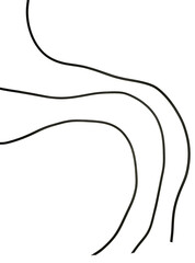 black line