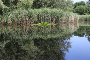 Reflection in the water - lake
