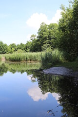 Fototapeta na wymiar Reflection in the water - lake - clouds - park