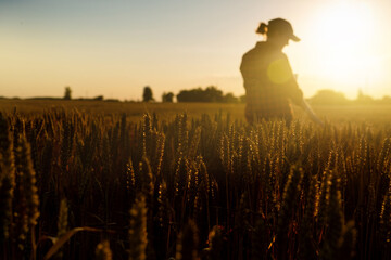 Silhouette of a woman farmer with a digital tablet in a wheat field. Smart farming and precision...