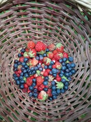 Fototapeta na wymiar basket with berries