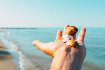 Fototapeta na wymiar Seashell in a man hand with sea in background