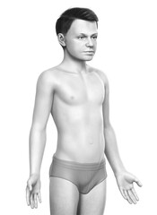 Fototapeta premium 3d rendered illustration of the young boy body