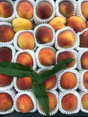 
Peach fruits from Uzbekistan 4