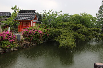Obraz premium Kibitsu shrine, Okayama, Japan