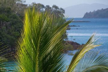 Coastal view in summer sunshine of the sea at Hamilton Island, Queensland, Australia