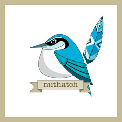 Flat style birds with feather. Nuthatch. Cartoon design.  Hand drawn color vector. Modern fashionable illustration. For logo, sticker