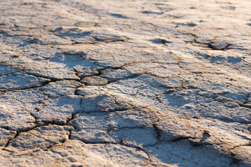 The dry marsh soil on the coast of Andalusia