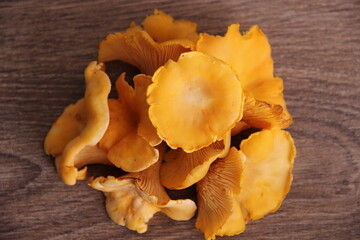 Fresh forest Chanterelle mushrooms on a wooden table, close view