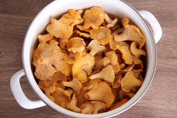 Forest Chanterelle mushrooms in a white pan, top view