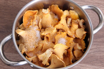 Forest Chanterelle mushrooms sprinkled with salt in a silver saucepan, top view