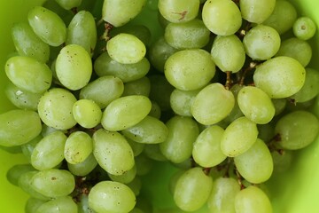 Ripe green grapes in a bowl macro