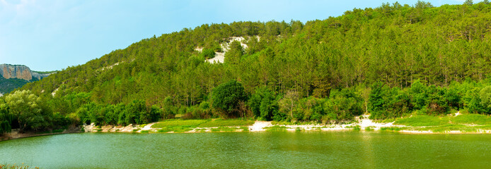 Panorama of a mountain forest near the shores of a lake in the Crimea. Natural composition.