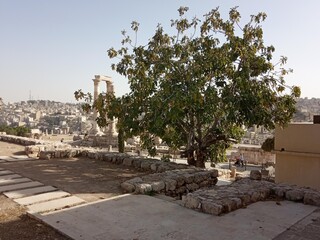 Cittadella Amman