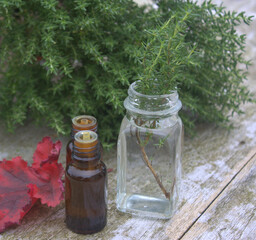 huile essentielle de thym ,aromathérapie 
