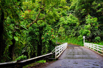 Scenic landscape with lush evergreen rainforest vegetation at Small Falls above Bridge view point...