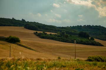 Obraz premium Walking in nature