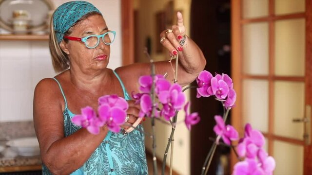 Video in 4k di una Signora mora vestita casual si rilassa in una poltrona rossa mentre guarda un film divertente nel suo salotto