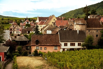 Fototapeta na wymiar Pretty authentic french village and vineyard. Travel concept.